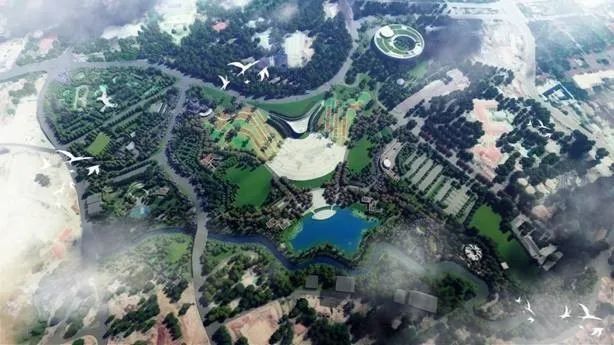 都成公司 | 讓“馬蹄蓮”盛開在埃塞俄比亞的鮮花之城